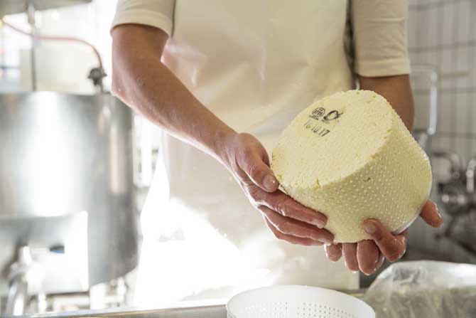 Chäsgschichten über uns