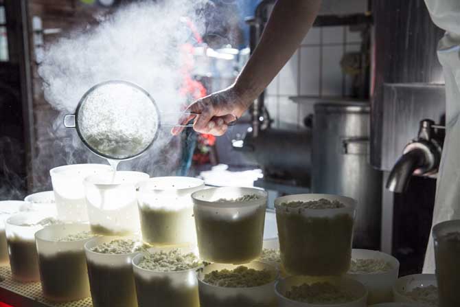 Chäsgschichten Leistungen Chäsgschichten Leistungen